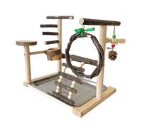 Perchoir d'entraînement pour cage à perroquet avec tasses d'alimentation et calopsitte Perchoir d'entraînement pour intérieur