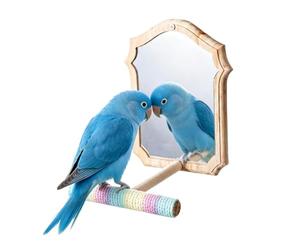 Perchoir en bois antidérapant pour perroquet - Miroir interactif | Perchoir en corde pour cage à oiseaux, perchoir pour perruches, perroquets, parroquets, pinçons, cacatoes