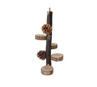 Perchoir en bois pour oiseaux, Jouets, Perchoir pour perroquets 30cm, Cage pour oiseaux, Perchoir en branches, Accessoires Pour Perruches, Nymphéas, Aras, Pinsons