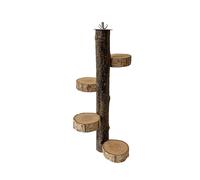 Perchoir en bois pour oiseaux, Jouets, Perchoir pour perroquets 30cm, Cage pour oiseaux, Perchoir en branches, Accessoires Pour Perruches, Nymphéas, Aras, Pinsons