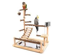 Perchoir en bois pour perroquet, plateforme d'exercice, gymnastique, échelle interactive, jouet d'entraînement pour oiseaux
