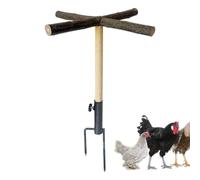 Perchoir en bois pour poules dans la cour