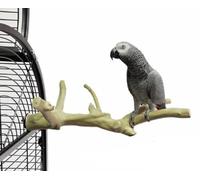 Perchoir Java Multi Perchoirs Premium 40cm Medium - Back Zoo Nature