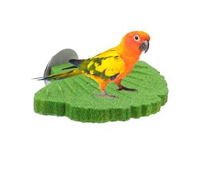 Perchoir Oiseaux Limage De Bec Conure | Bâton Lime-Ongles Perruche Pour Aras Propriétaires D'Animaux Amoureux Des Animaux Dresseurs Refuges Zoos Volières Étude