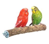 Perchoir Perroquet - écorce de liège et Bois - Bon pour Le Bec et Les Griffes - Jouet Perruche