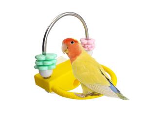 Perchoir pour cage - à mâcher contre les perroquets avec anneaux rotatifs pour perroquets | Pourquoi pour l'exercice, l'escalade, l'exploration, l'entraînement, le repos, convient aux