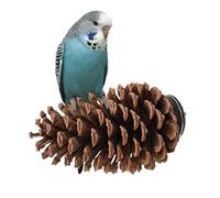 Perchoir pour cage à perroquet - Branche rugueuse à mâcher, base de support décorative, poutre d'équilibre en bois | Outil de conditionnement des pattes texturées en écorce, zone de jeu rustique pour