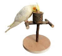 Perchoir pour Oiseaux,Accessoires de Cage Terrain de Jeu et d'Entraînement Interactif | Perchoir de Table Portable pour Oiseaux | pour Canaris Conures Gris d'Afrique Cacatoès Perruches et Mainates