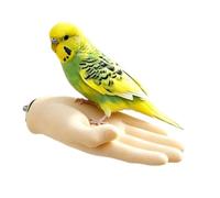 Perchoir pour Oiseaux en Forme de Main Perchoir de Dressage interactif pour | perchoir support cage à perroquet pour perruche et calopsitte, maison, appartement, balcon, jardin, cour, pat