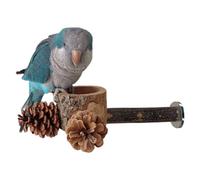 Perchoir pour perroquets, 2 en 1, jouet en bois pour animal domestique, avec perchoir et alimentation pour conures, pour entraînement à mâcher à la maison