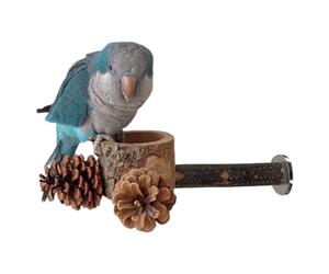 Perchoir pour perroquets, 2 en 1, jouet en bois pour animal domestique, avec perchoir et alimentation pour conures, pour entraînement à mâcher à la maison