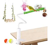 Perchoir pour Perruche - Poteau d'Entraînement de Bureau - avec Attache Pliable Balançoire à Oiseaux | pour Canari, Pinson, Inséparable, Colibri, Salon, Jardin, Animalerie et Cage de Reproduction