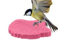 Perchoir pour petit oiseau | Bâton d'affûtage de griffe de perroquet, pour les amoureux des aras, conures, abris pour salon, chambre à coucher, étude, zoo, volières, maison et bureau