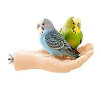 Perchoir Sur Pied Pour Oiseaux Interactifs Manuels D'Entraînement Et