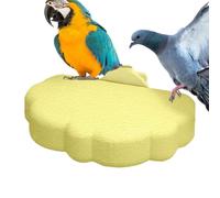 Perchoirs Cage À Oiseaux Support d'exercice en Forme de