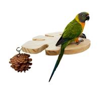 Perchoirs pour Cage à Oiseaux,Support à Ongles pour Perruche - Perchoir en Bois d'oiseau avec Support | pour l'exercice des espèces : inséparables, perruches ondulées, perruches, calopsittes, Conures