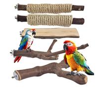 Perchoirs pour cage à perruches en bois naturel avec griffe d'ara | Perchoir antidérapant pour perruche, soin du bec, terrain de jeu, escalade, entraînement, enrichissement, griffe