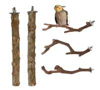 Perchoirs pour cages d'oiseaux, ensemble de jouets interactifs en bois 5 pièces pour le jeu | Branches naturelles pour rois perruches Budgies Perroquets | pour perruches calopsittes kakarikis et par