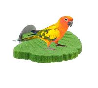 Perchoirs pour oiseaux en cage Limage Des Griffes Pour Calopsitte