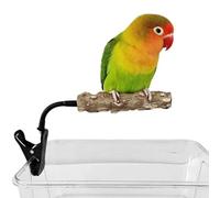 Perchoirs pour perruches - Jouets Interactifs En Bois À Clipser - Perchoir D'Enrichissement Pour Calopsitte Et Oiseaux | pour oiseaux comme Ara Gris d'Afrique Calopsitte Conure Mainate Pinson Maison I