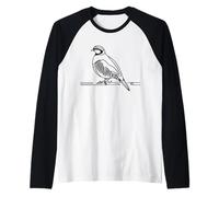 Perdrix Grise Dessin au Trait Ornithologue Manche Raglan
