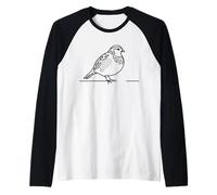 Perdrix Grise Dessin Ornithologue Manche Raglan