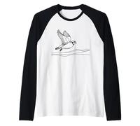 Perdrix Grise Linéaire Ornithologue Manche Raglan