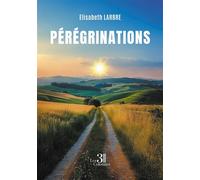 Pérégrinations - Elisabeth Larbre - Trois Colonnes - broché - Nouvelles