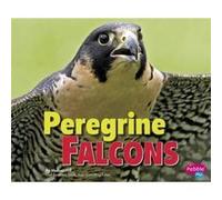 Peregrine Falcons by Consultant editor Gail Saunders Smith & Melissa Hill Consultant editor Gail Saunders Smith Melissa Hill (Auteur)
