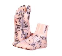 perfeclan 2pcs Modèles de pied humain Modèle de massage des pieds Détails fins d'outil d'apprentissage professionnel facile à transporter pour l'enseignement