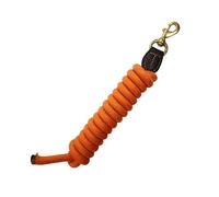 Perfeclan Longe d'entraînement pour Cheval, rênes de Dressage, 250 cm (98,43 Pouces), en Nylon, pour présentation, Marche et Jeu, Orange