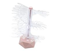 Perfeclan Présentoir de vernis à ongles, outil de pratique des ongles, présentoir en spirale, affichage du nuancier de nail art, support pour salon, outil, ROSE