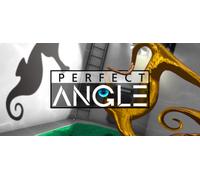 PERFECT ANGLE The puzzle game based on optical illusions (PC)