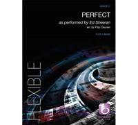 Perfect / Conducteur
