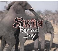 Perfect Day [Import]