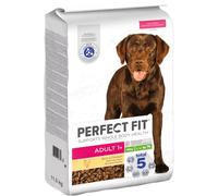 Perfect Fit Adult 1+ Croquettes pour chiens de taille moyenne et grande (> 10 kg), 11,5 kg (1 sachet) - Nourriture pour chien de qualité supérieure et riche en poulet