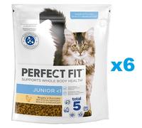 PERFECT FIT Junior