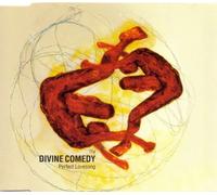 The Divine Comedy - Perfect Lovesong