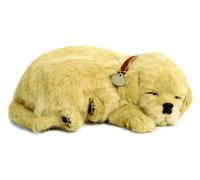 Perfect Petzzz - 4908 - Peluche - Chien Golden Retriever