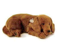 Perfect Petzzz - 65421 - Peluche Interactive - Chien - Teckel - Animal Qui Respire pour de Vrai - 25 cm