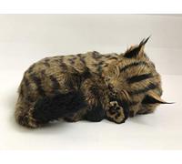 Perfect Petzzz Chat Maine Coon Qui respire The Original Breathing Pet New Huggable Soft Version Plush Toy Gift Bundle