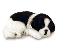 Perfect Petzzz Chien Border Collie Qui Respire the Breathing Puppy
