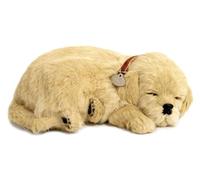 Perfect Petzzz Chien Golden Retriever Qui Respire The Breathing Puppy