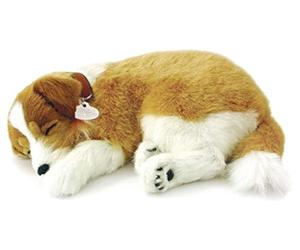 Perfect Petzzz Collie Chiot Qui Respire The Breathing Puppy