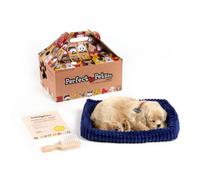Perfect Petzzz Golden Retriever