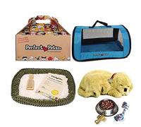 Perfect Petzzz Golden Retriever + Pink Tote Transport et accessoires
