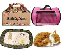 Perfect Petzzz Orange Tabby + Red Tote Trasportino