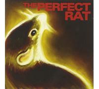 Perfect Rat - Endangered Languages