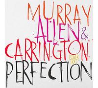 David Murray, Geri Allen et Terri Lyne Carrington – Perfection – CD