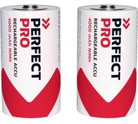 Piles C X 2 - ASLAFIX - RC000BC2